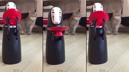 Chat vs Tirelire No-Face