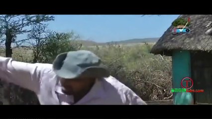 New 2017 Oromo Short Film   Diraama Gabaaba   Qorqoorroo-hfCMZiQ