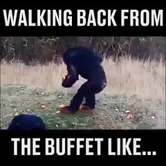 No food left behind 