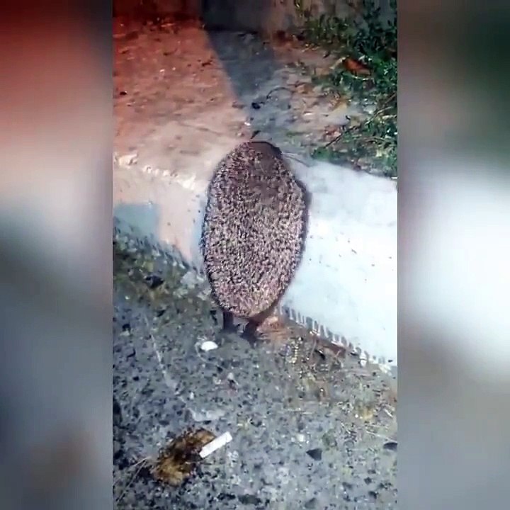 Not all heroes wear capes 