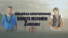 dawite mekonen_ZAMZAMEE_new oromo music 2017-sWyoZ5