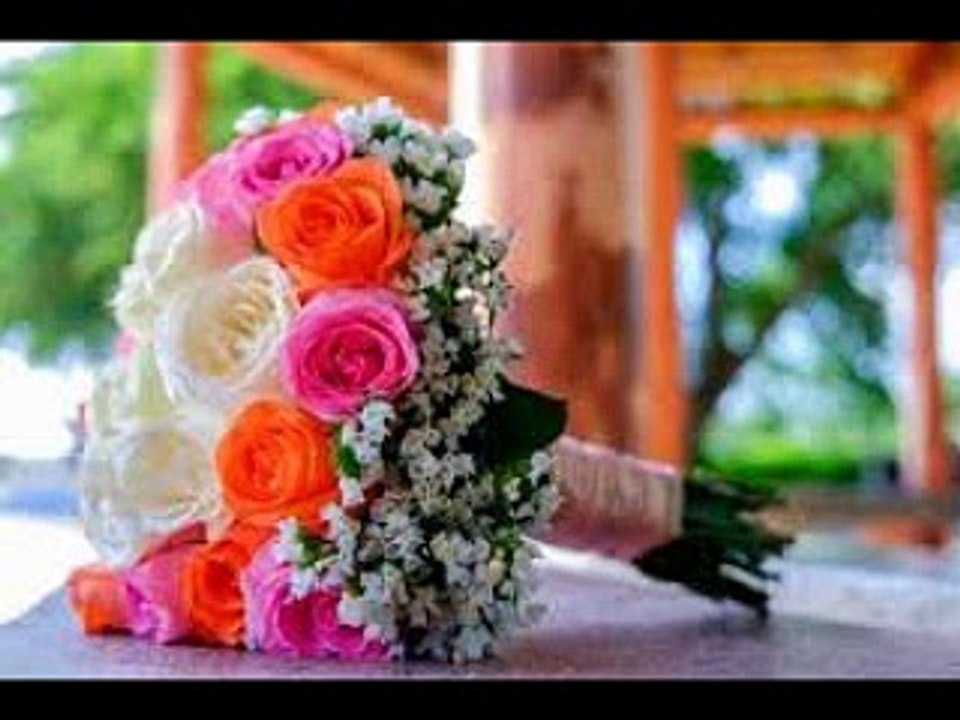 半ダースのバラ Una Mezza Dozzina Di Rose ( ミーナ Mina) カ...