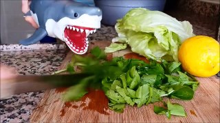 shark toy playing making saladdf