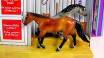 Potro caballo yegua misterio Nuevo conjunto semental sorpresa juguete Traducciones de breyer stablemates