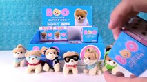 Boo Cutest Dog Surprise Plush Mystery Blind Box Series 1 Gund Toy Review | PSToyReviews