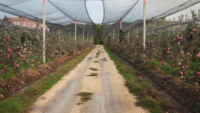 Témoignage d'un exploitant ardéchois : réduire la vulnérabilité des exploitations agricoles aux inondations