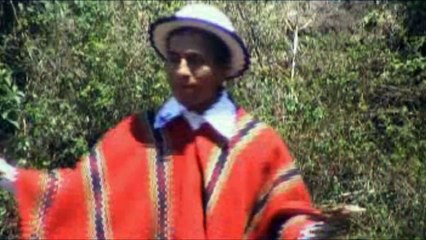 Hermanos Chimborazos vol 2 Fiestita