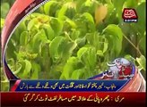 News Headlines – 29th June 2017 - Nawaz Sharif is being punished after atomic blast - Saad Rafiq.