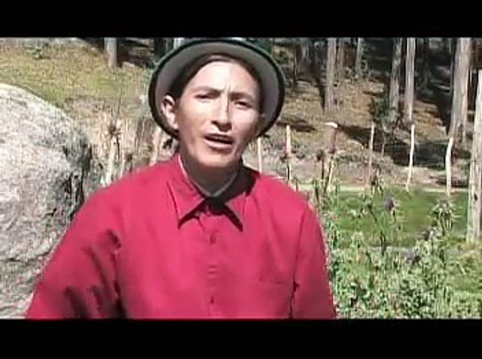 Palomita ingrata - Manuelito