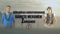 dawite mekonen_ZAMZAMEE_new oromo music