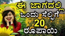 Sunflower Field Turns Into Selfie Spot | Farmer's New Business Plan | Oneindia Kannada