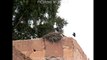 les cigognes du Maroc