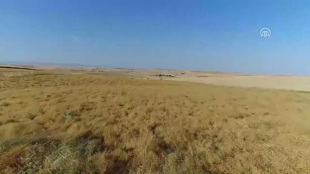 Kırmızı Mercimek Üssü Nde Yüksek Rekolte Beklentisi - Diyarbakır