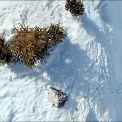 BEST SNOW SKATING | 2017