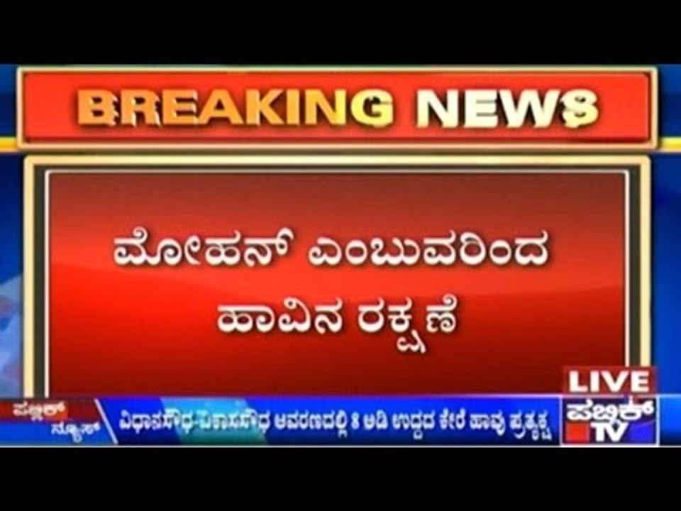 Snake In Vidhan Soudha Premisis