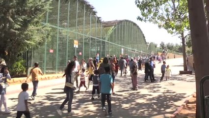 Hayvanat Bahçesi Sakinlerine Buzlu Kokteyl