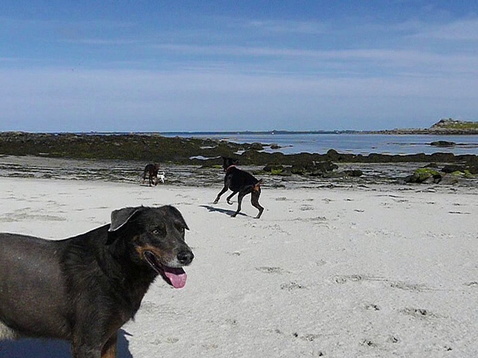 plage 4