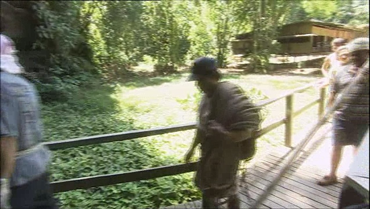 S Club 7 Go Wild - Episode 7 - Jon and the Orangutan