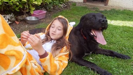 Annonce Live // Satine Walle