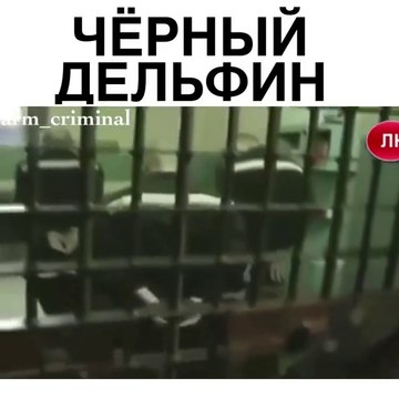 arm_criminal Черный Дельфин