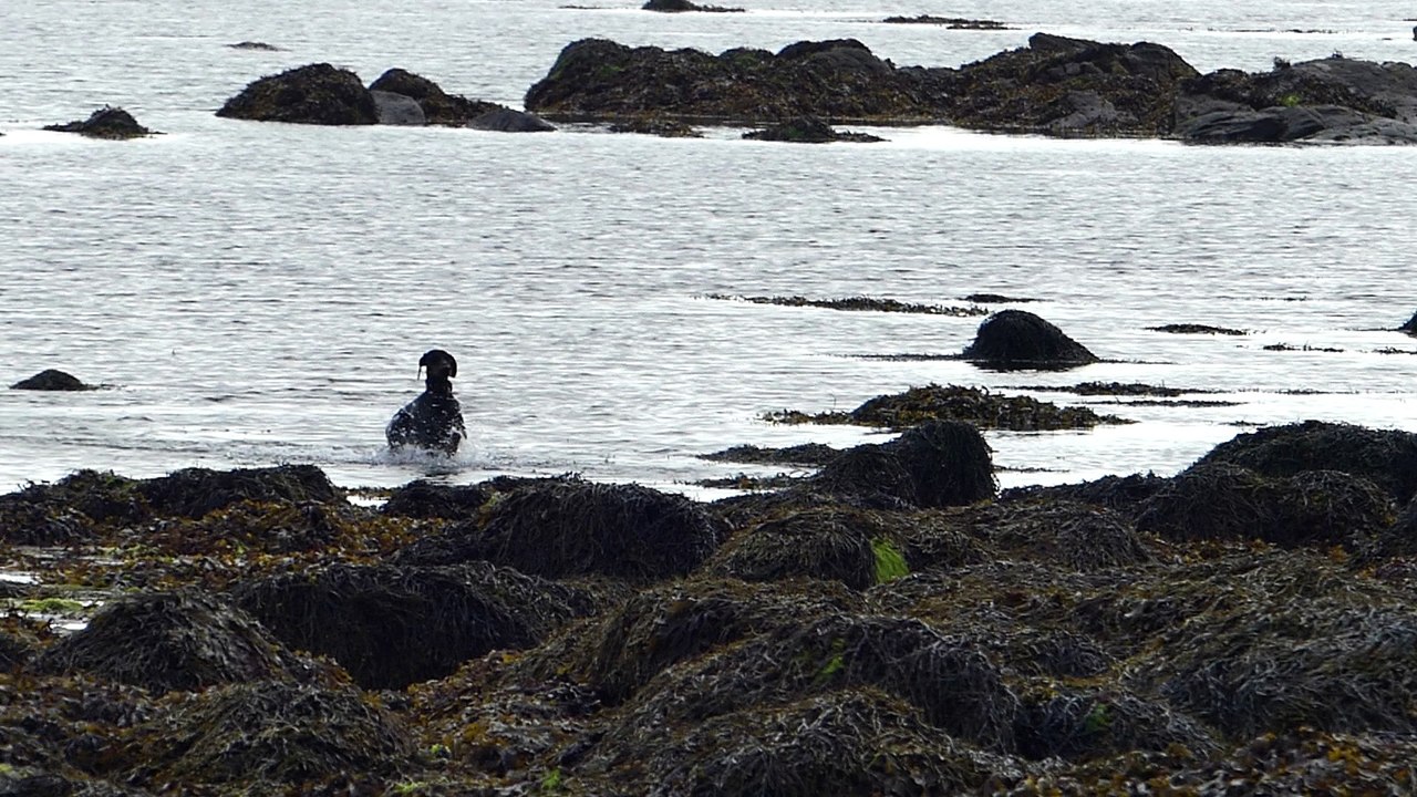 Plage 12