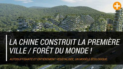 La Chine construit la première ville/forêt du monde !