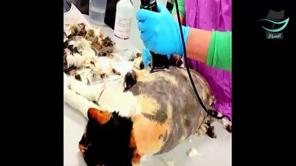 رجل كبير في السن فقد الذاكرة ، وعندما نقلوه الى دار المسنين وجدوا هذا الشيء في بيته