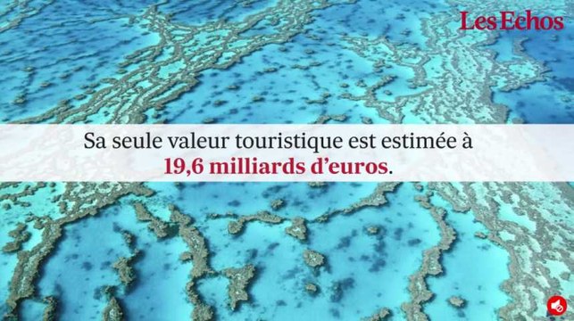 La barrière de corail a désormais un prix