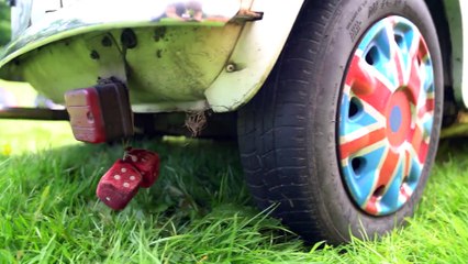 International MINI Meeting 2017