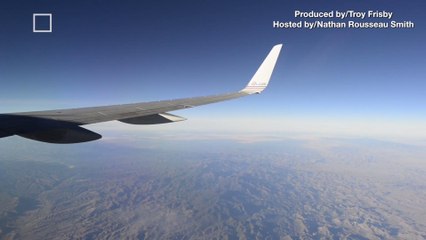 Airline Apologizes After Disabled Passenger Forced to Crawl onto Plane