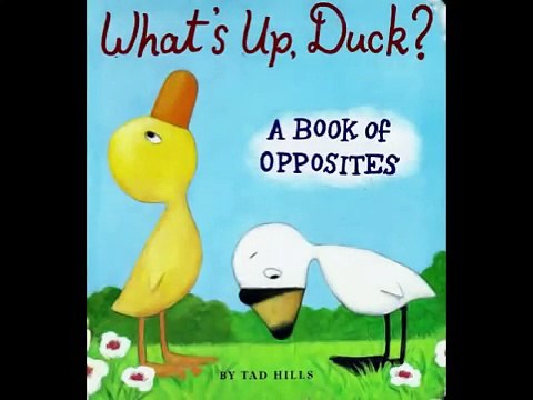 Duck And Goose Whats Up Duck? A book of opposites by Tad Hills -Read Aloud