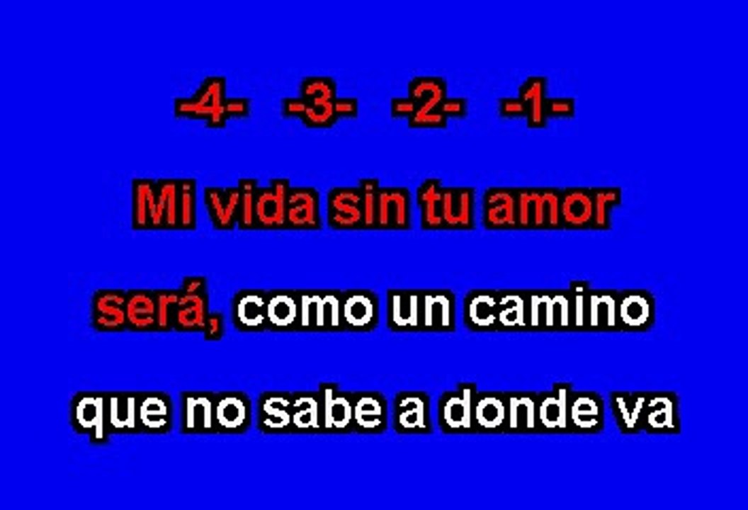 Cristian Castro - Mi Vida Sin Tu Amor (Karaoke) (2)