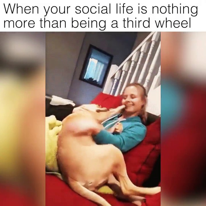 when your social life is nothing more than being a third wheel