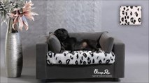 Canapé pour chat et chien by GiusyPop