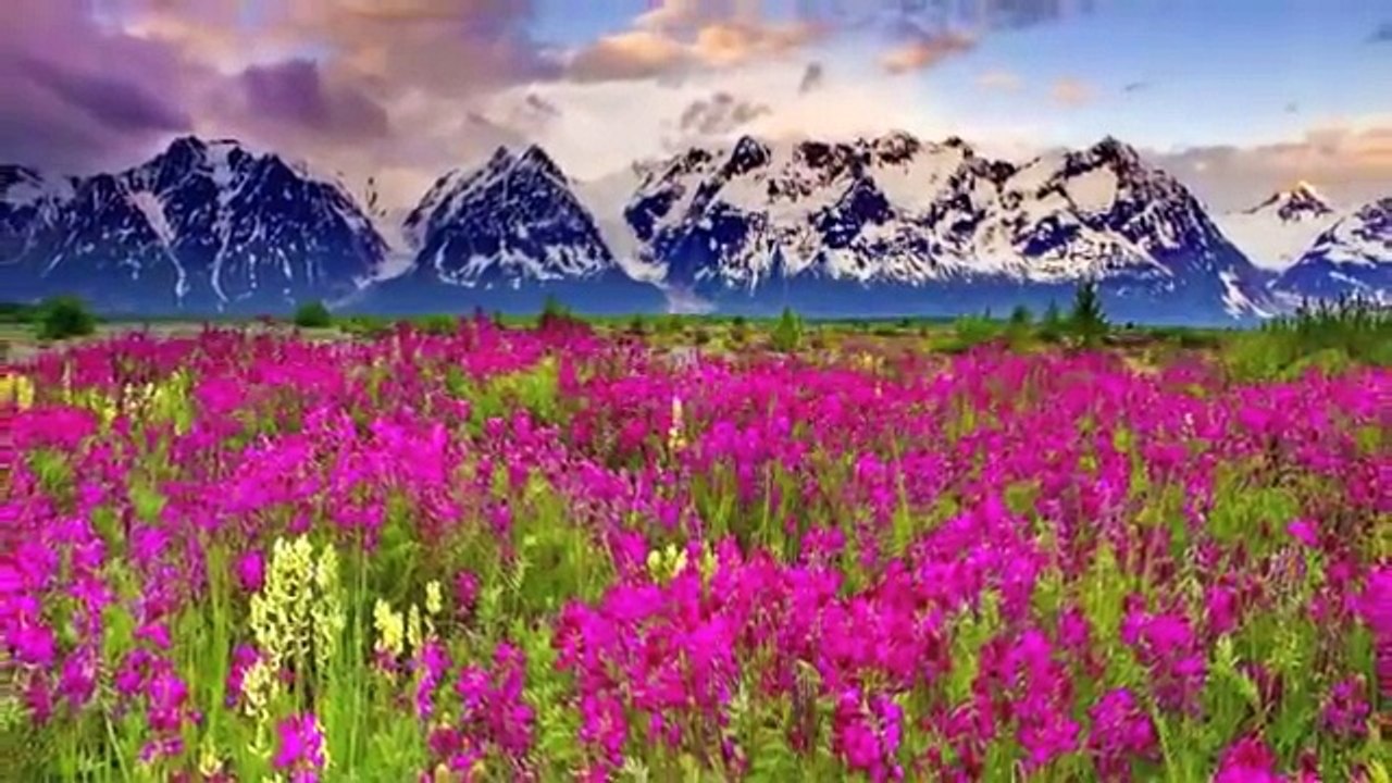 023 Surat Al-Mu'minūn (The Believers) - سورة المؤمنون