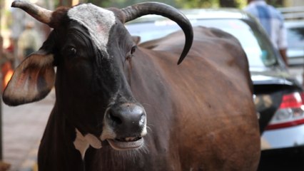 Muslim Teen Killed Over Allegations He Ate Beef