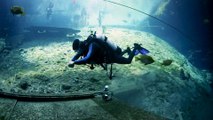 ScubaLab Testers Choice: Mares Bolt SLS Scuba Diving BC