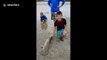Lifeguard saves shark left on beach by fisherman for too long