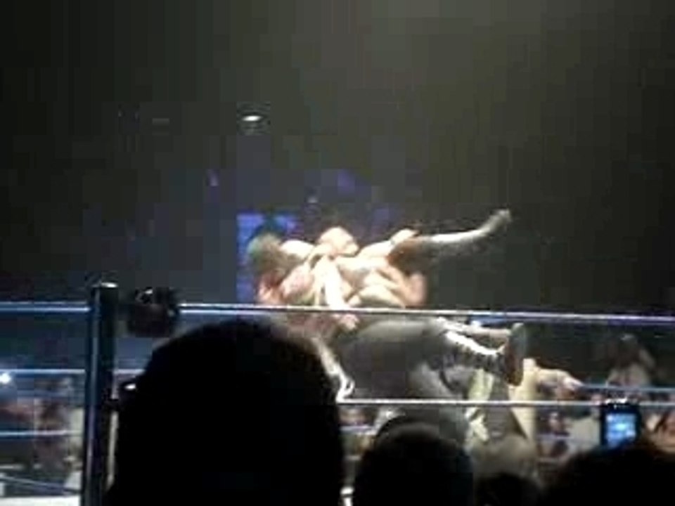 samoan drop big daddy v bruxelles