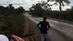 Elephant charges at runner during Victoria Falls Marathon