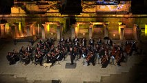 Vienna Symphony (Orchestre symphonique de Vienne) : Un chien s'incruste en plein concert