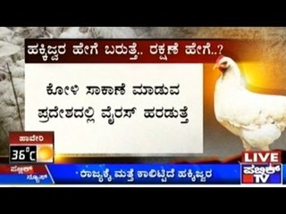 Symptoms Of Bird Flu