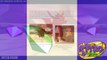 Spyro 2: Spring Savanna Elora In game, Developer Blog Now Online & Classic Spyro Figure Up