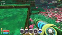 Tangle Slimes and Glass Desert Information! Lets Play Slime Rancher Gameplay