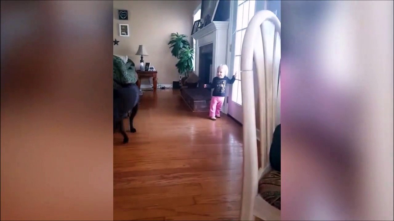 Chorégraphie au top réalisée par ce bébé et son chien