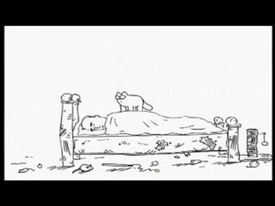 LE REVEILLE DU CHAT