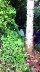 increible, puede ser esto posible...