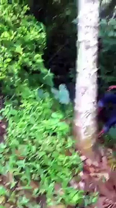 increible, puede ser esto posible...