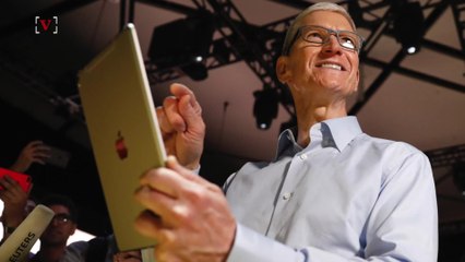 Apple Boss Tim Cook Made $145 Million in 2016
