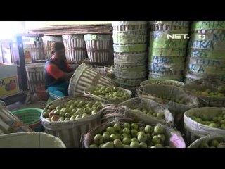 NET12 - Petani apel merugi di Malang Jawa Timur